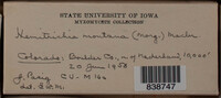 Image Associated With the Occurence